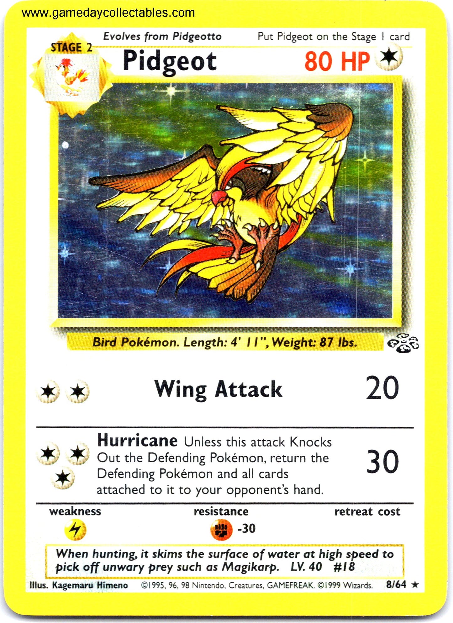 #08 Pidgeot - Jungle - Holo Rare (Ungraded Near Mint)