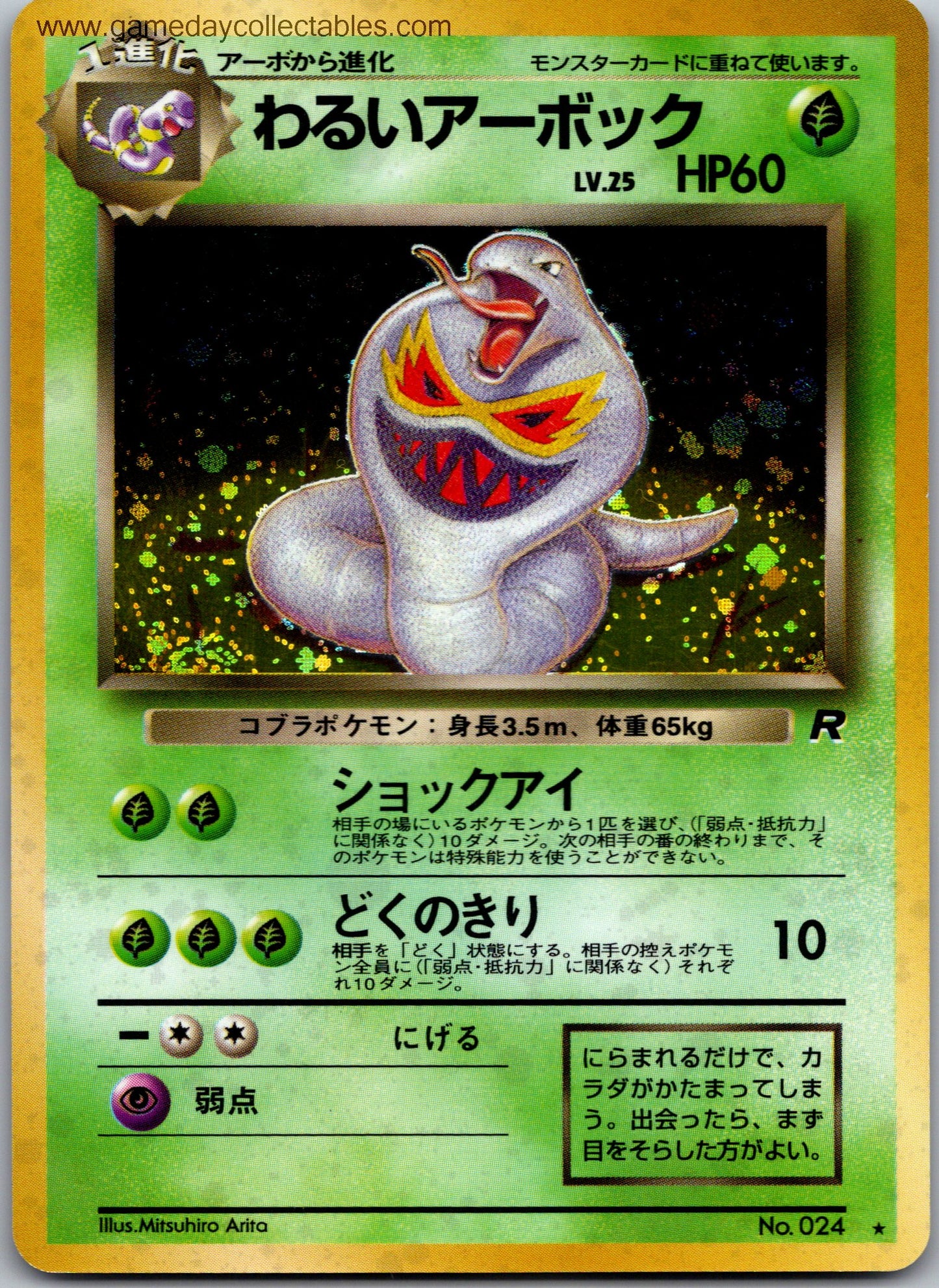 Dark Arbok 024 Rocket Gang Rare Holo