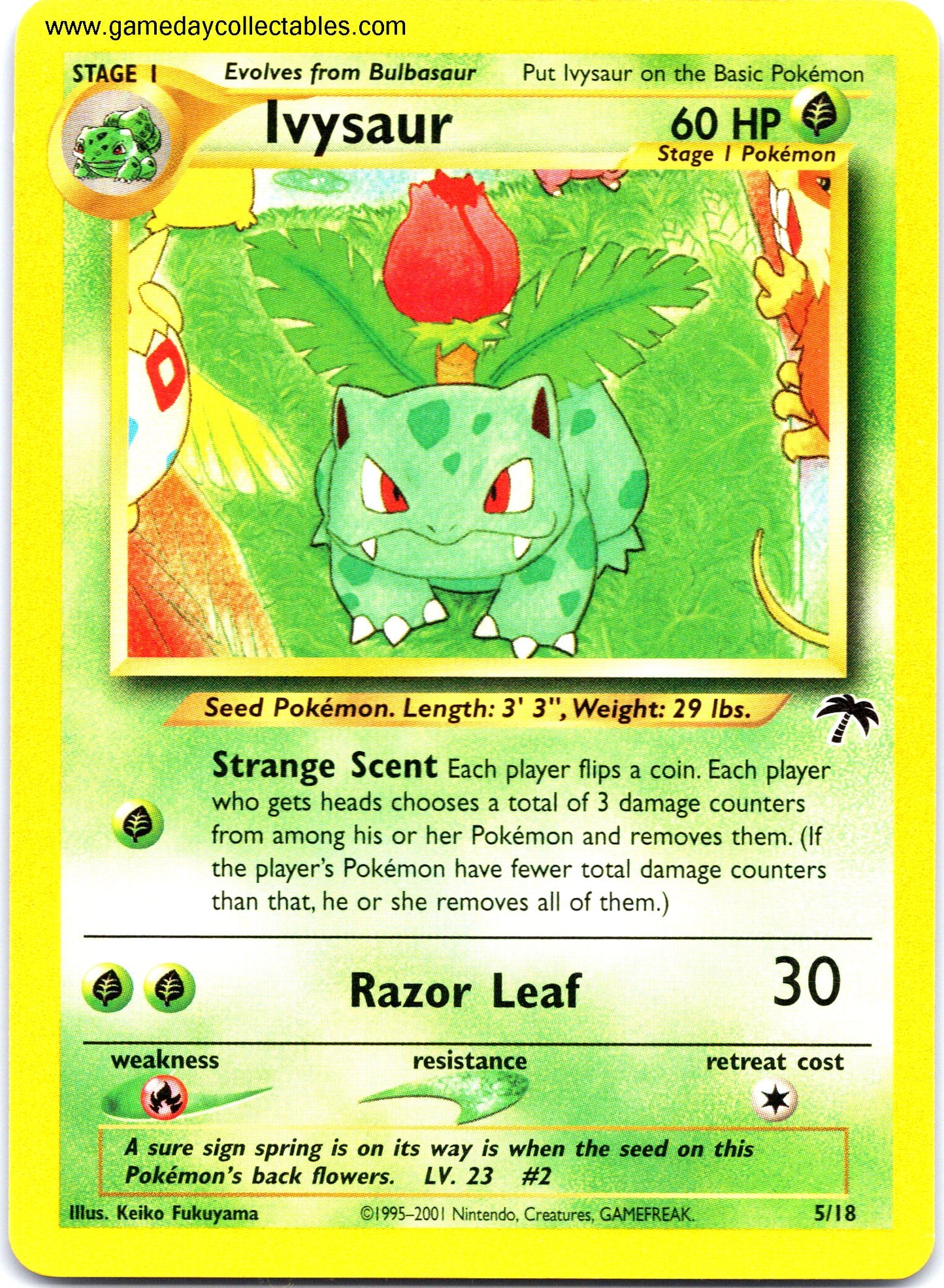 #05 Ivysaur - Southern Islands (Ungraded Near Mint)